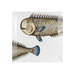 Fornasetti - Vassoio quadrato Pesce Lampuga