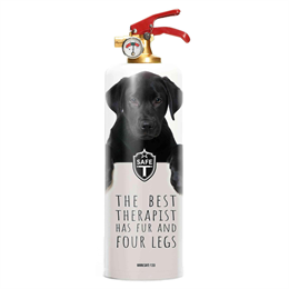 Safe T - Estintore Dogs